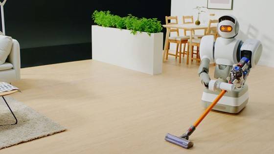 housekeeping robot