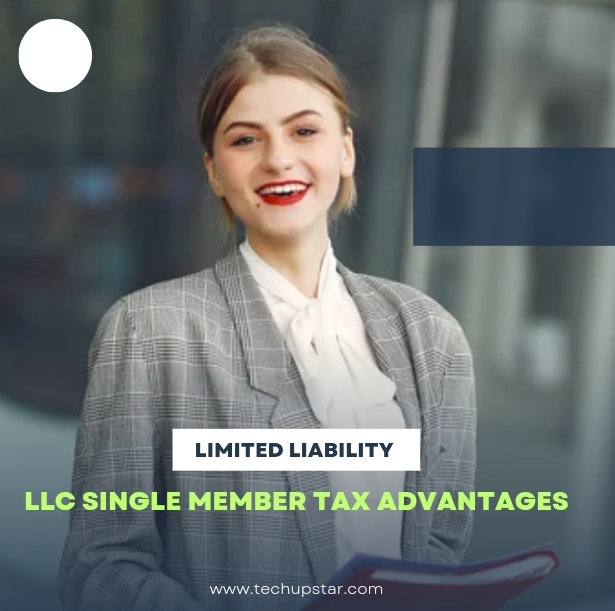 LLC single member tax advantages