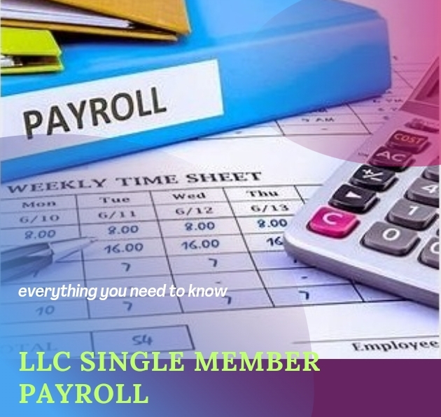 LLC single member payroll
